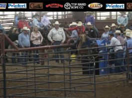 Hali and Gabe Junior Rodeo #6