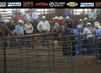 Hali and Gabe Junior Rodeo #6