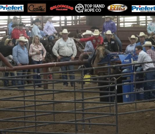 Hali and Gabe Junior Rodeo #6