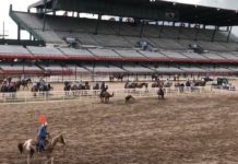 Dustin and Jake at Cheyenne, Nampa, and Spanish Fork