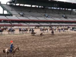 Dustin and Jake at Cheyenne, Nampa, and Spanish Fork