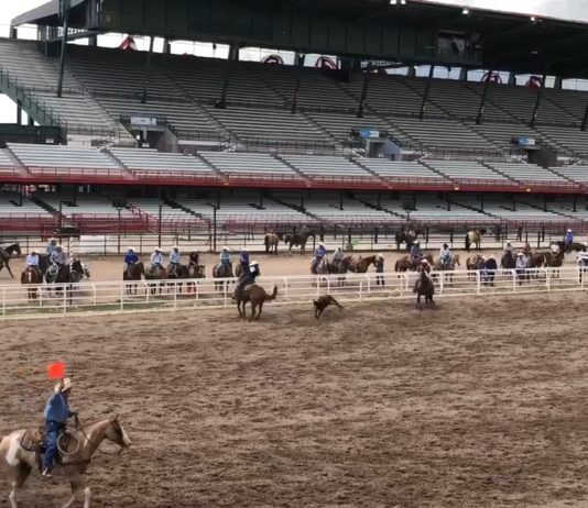 Dustin and Jake at Cheyenne, Nampa, and Spanish Fork