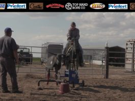 Quincy, WA School Highlights