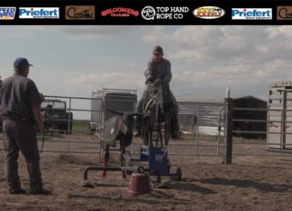 Quincy, WA School Highlights