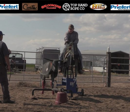 Quincy, WA School Highlights