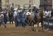 Equine Catalyst Breakaway in Kinder, LA – Day 1