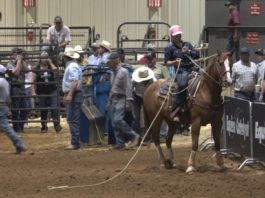 Equine Catalyst Breakaway in Kinder, LA – Day 1