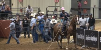 Equine Catalyst Breakaway in Kinder, LA – Day 1