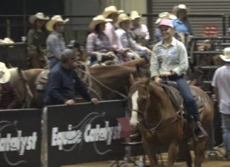 Hali’s 1.57 at Equine Catalyst Breakaway