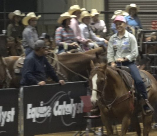 Hali’s 1.57 at Equine Catalyst Breakaway