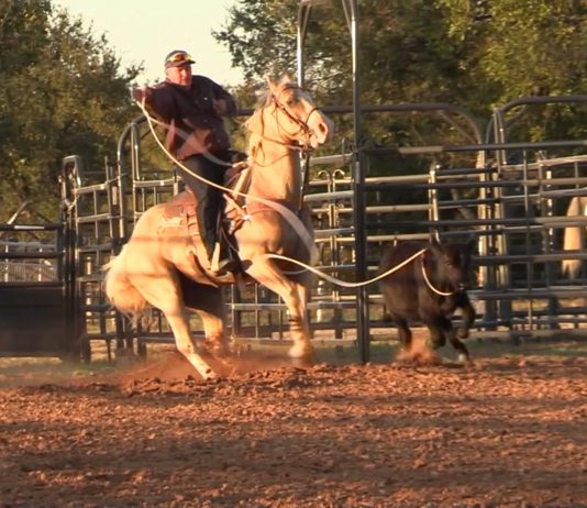 Hali Update on Her Injuries and Roping