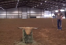 Dummy Drills Website Intro