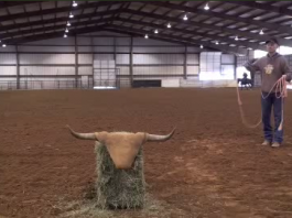 Dummy Drills Website Intro