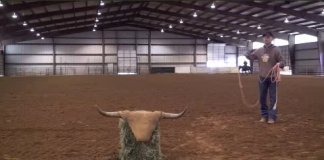 Dummy Drills Website Intro