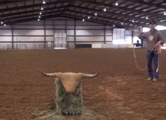 Dummy Drills Website Intro