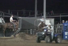 Stay Focused with a Game-Hali, Grace and Charity