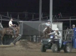 Stay Focused with a Game-Hali, Grace and Charity