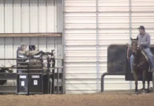 Big Horns Website Intro