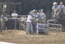 Speed on Handling Steers