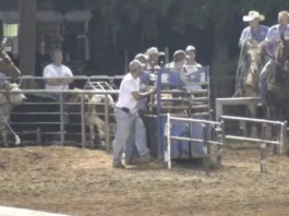 Speed on Handling Steers