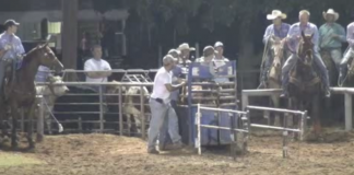 Speed on Handling Steers