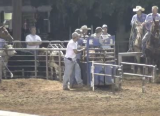 Speed on Handling Steers