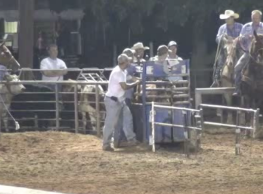 Speed on Handling Steers