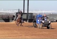 Speed Heeling Working Strong Heeling Horse