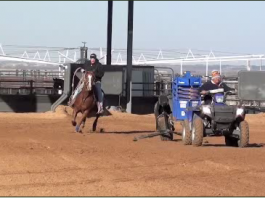Speed Heeling Working Strong Heeling Horse