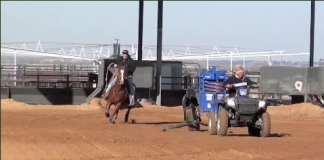 Speed Heeling Working Strong Heeling Horse
