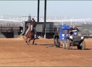 Speed Heeling Working Strong Heeling Horse