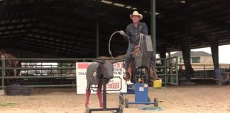 12 6 Working With Pat Parelli on his roping with the Speed Trainer