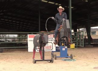 12 6 Working With Pat Parelli on his roping with the Speed Trainer