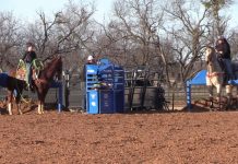 Holly and Girls Highlights