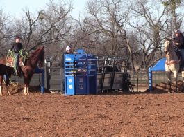 Holly and Girls Highlights