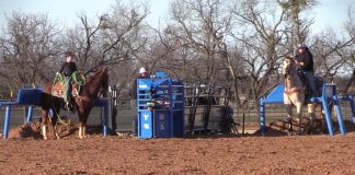 Holly and Girls Highlights