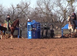 Holly and Girls Highlights