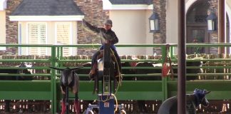 Teaching My Kids To Team Rope