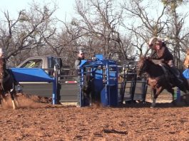 Mema (Bobbi Williams) Back in the Saddle