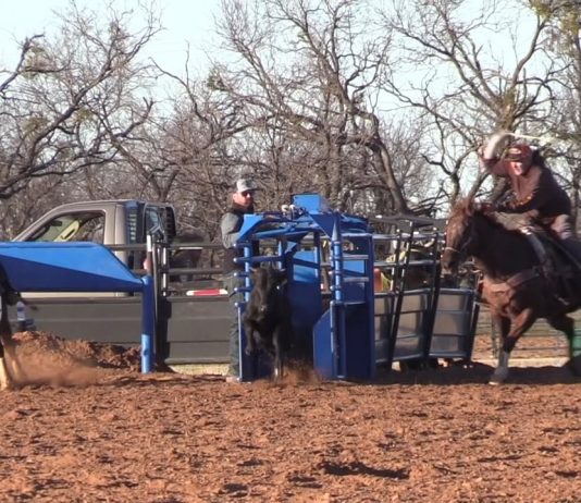 Mema (Bobbi Williams) Back in the Saddle