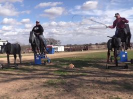 Good Day Practicing Bad Day at the Roping