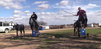 Good Day Practicing Bad Day at the Roping