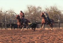 Changing from Roping Right to Left to Both Horns Same Time Free
