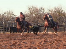 Changing from Roping Right to Left to Both Horns Same Time Free