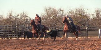 Changing from Roping Right to Left to Both Horns Same Time Free