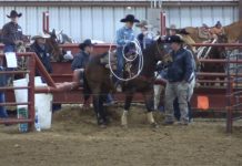 Hali and Gabes Runs at JR and High School Rodeo 1 24 2020