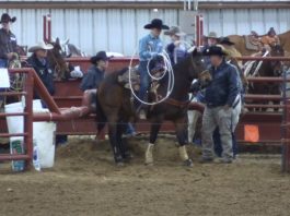 Hali and Gabes Runs at JR and High School Rodeo 1 24 2020