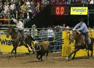 The Growth of Team Roping – December 2019