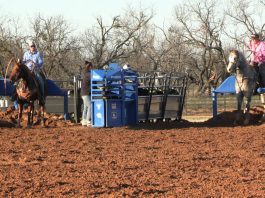 Working on throwing Faster