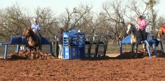 Working on throwing Faster